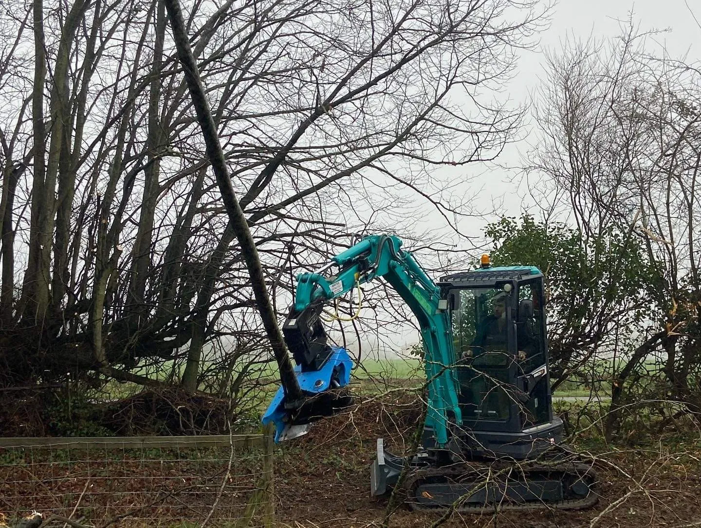 Alpha 200 Excavator Tree Shear - 1.5-5 Tonne