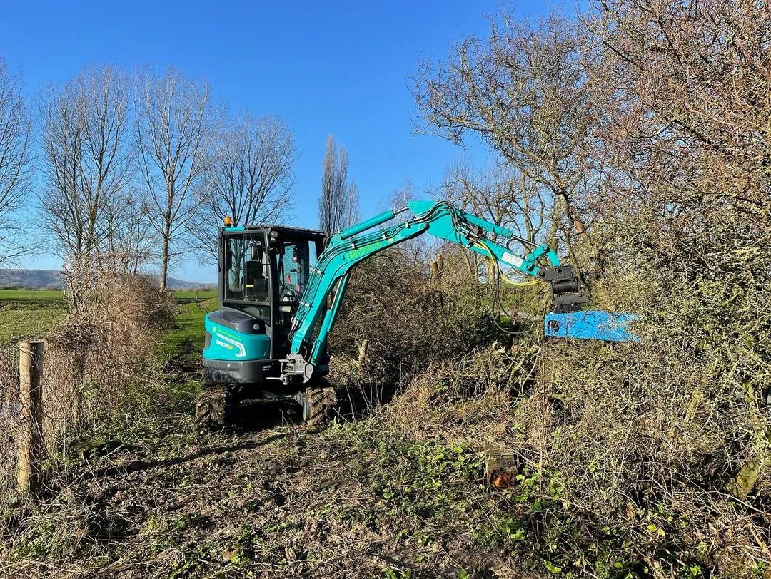 Alpha 200 Excavator Tree Shear - 1.5-5 Tonne