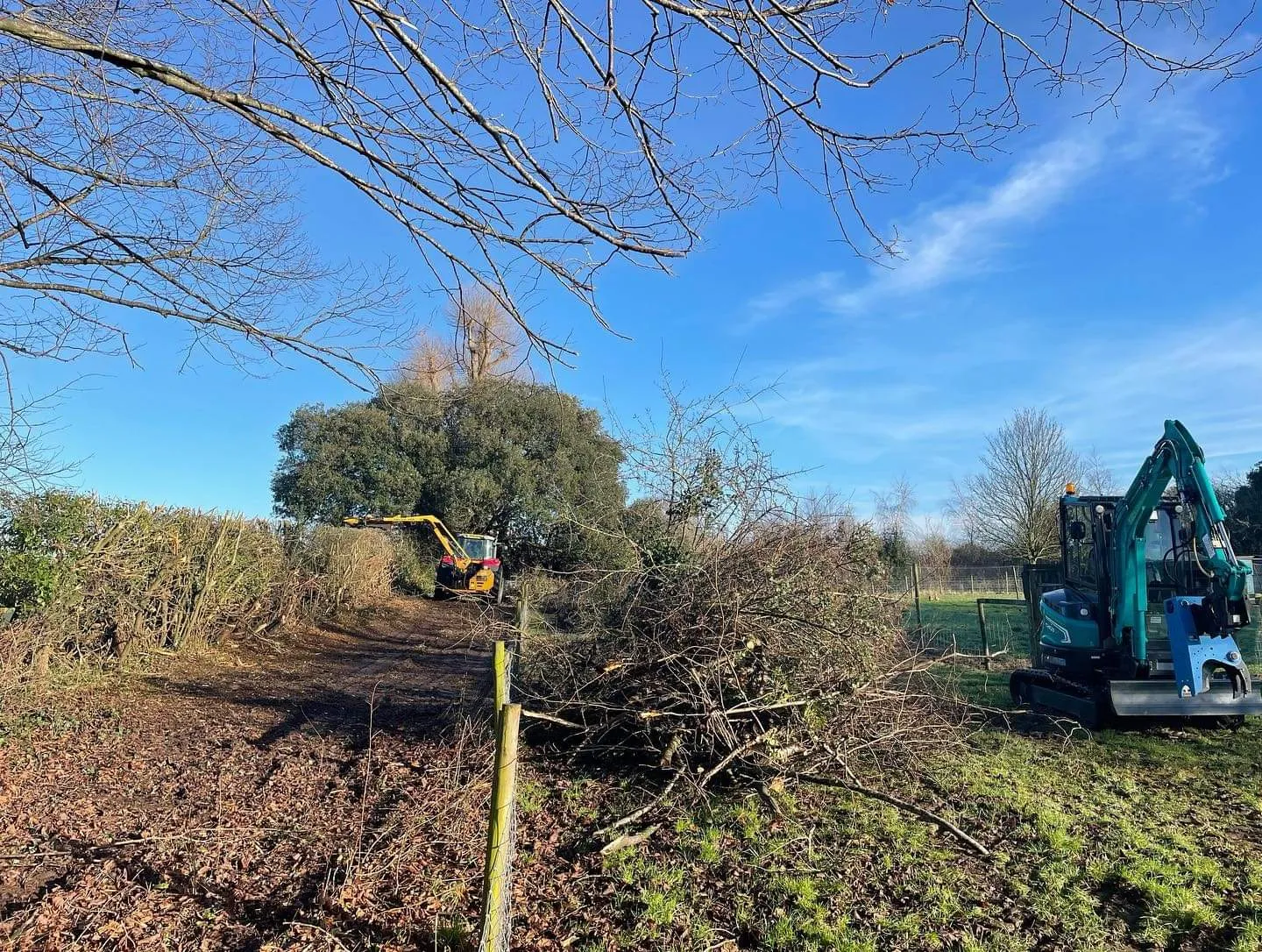 Alpha 200 Excavator Tree Shear - 1.5-5 Tonne