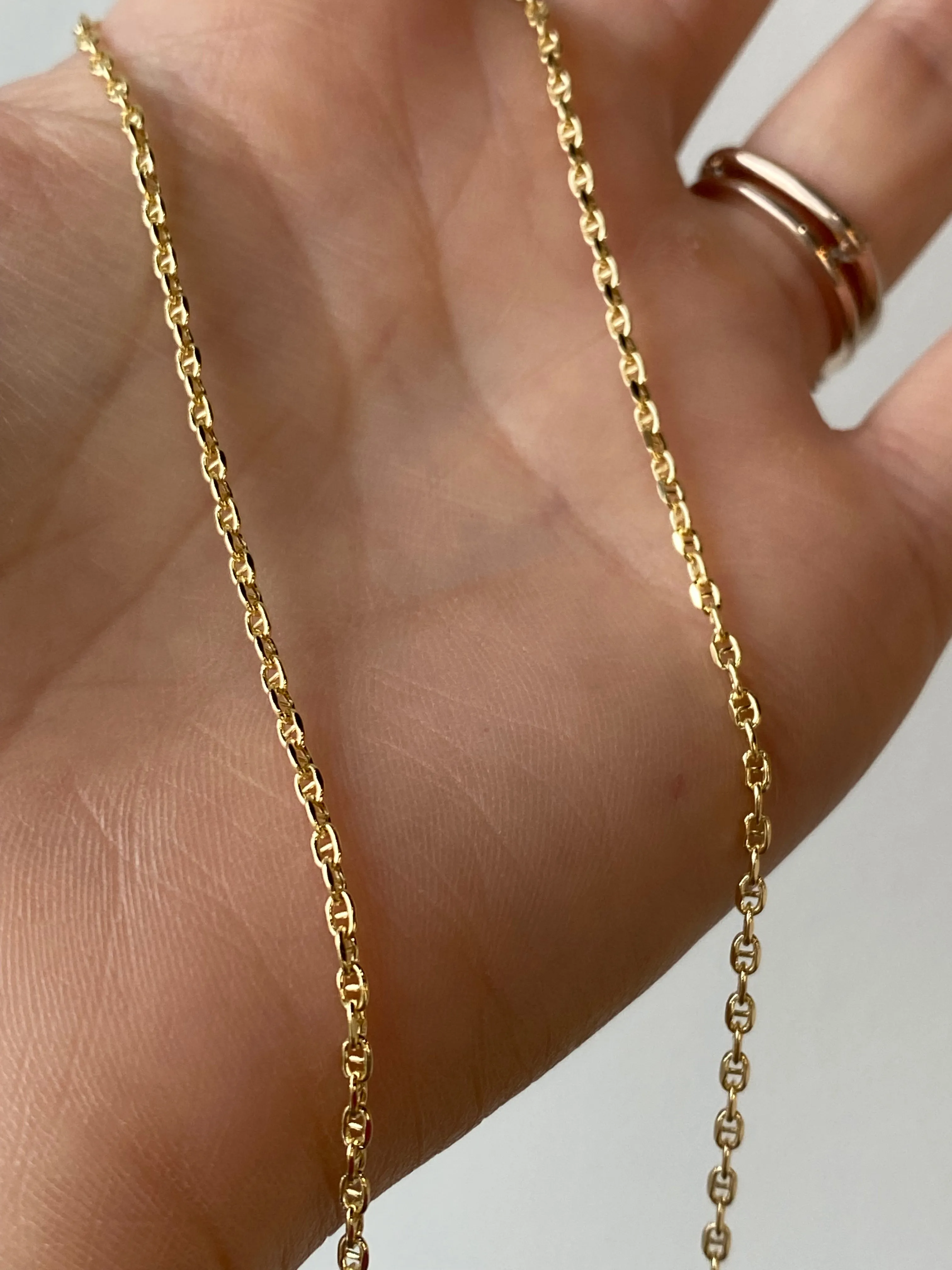 Anchor Chain