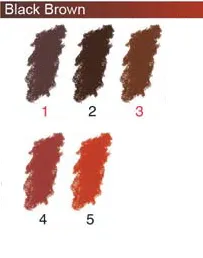 ARTISTS Soft Pastels - Sennelier - PASTEL L'ECU - SINGLE -	003	-	Black Brown 003