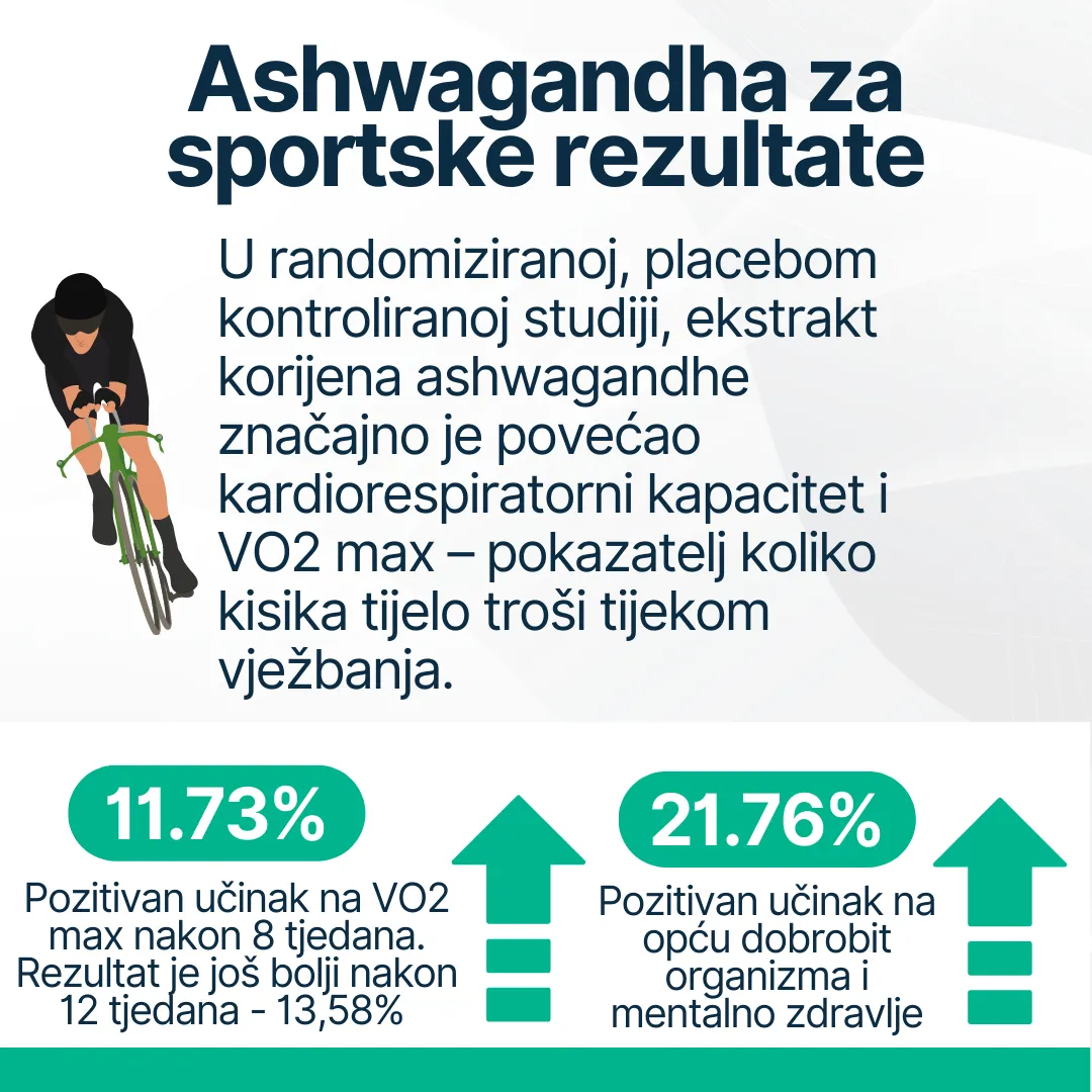 Ašvaganda