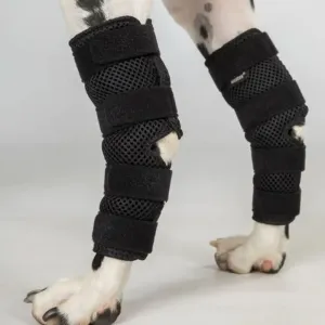 Back On Track® "Dixie" Dog Hock Brace