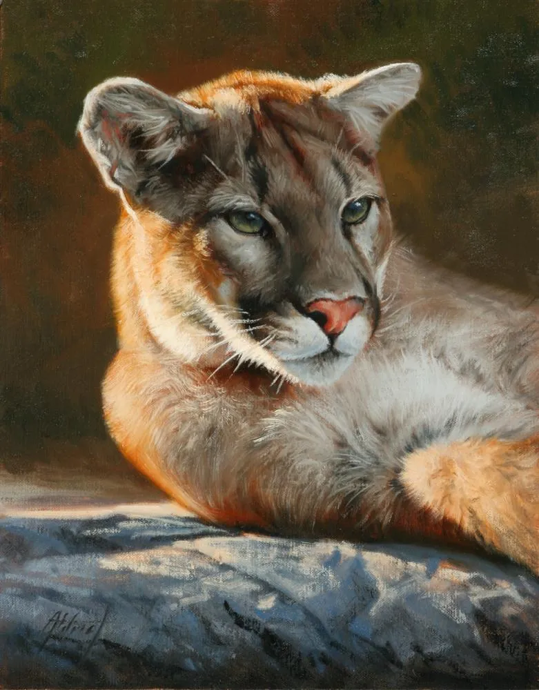 Cougar Portrait
