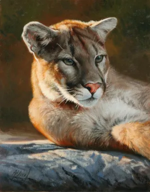 Cougar Portrait