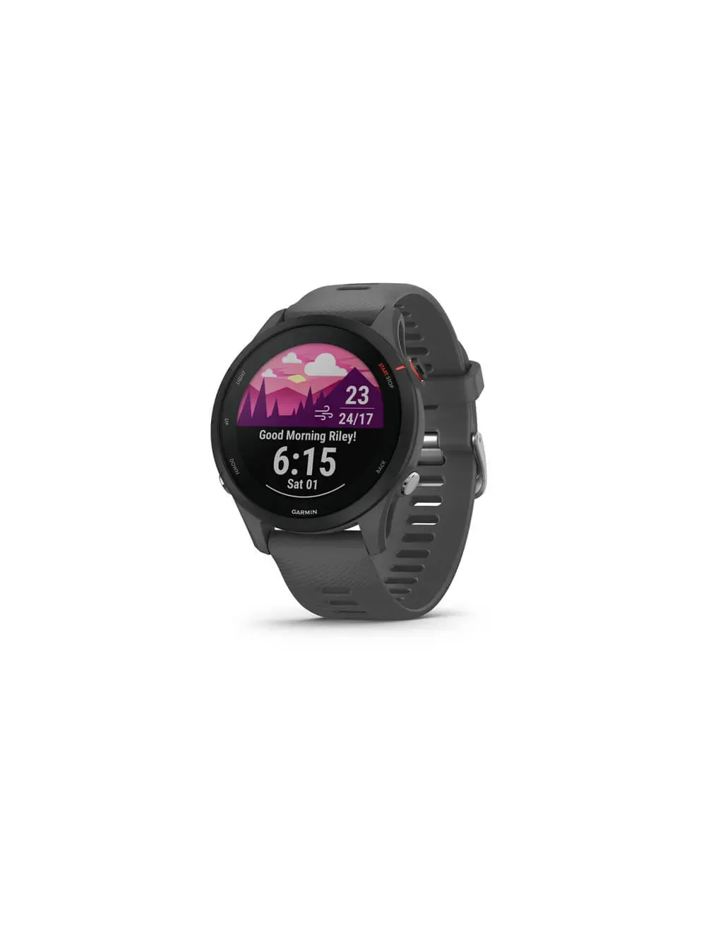 Garmin Forerunner 255 - Slate Grey