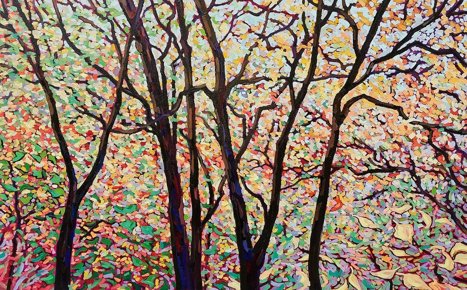 Laura Eyring:  Roxborough Reservoir