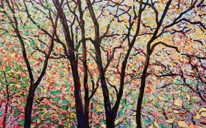 Laura Eyring:  Roxborough Reservoir