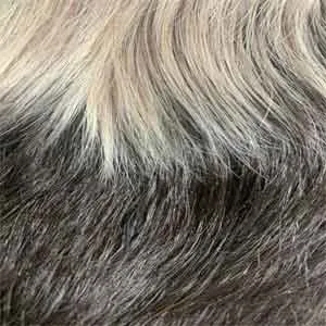 Outre Wigpop Synthetic Hair Full Wig - RIKA - Clearance