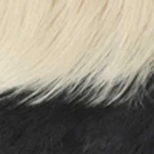 Outre Wigpop Synthetic Hair Full Wig - RIKA - Clearance