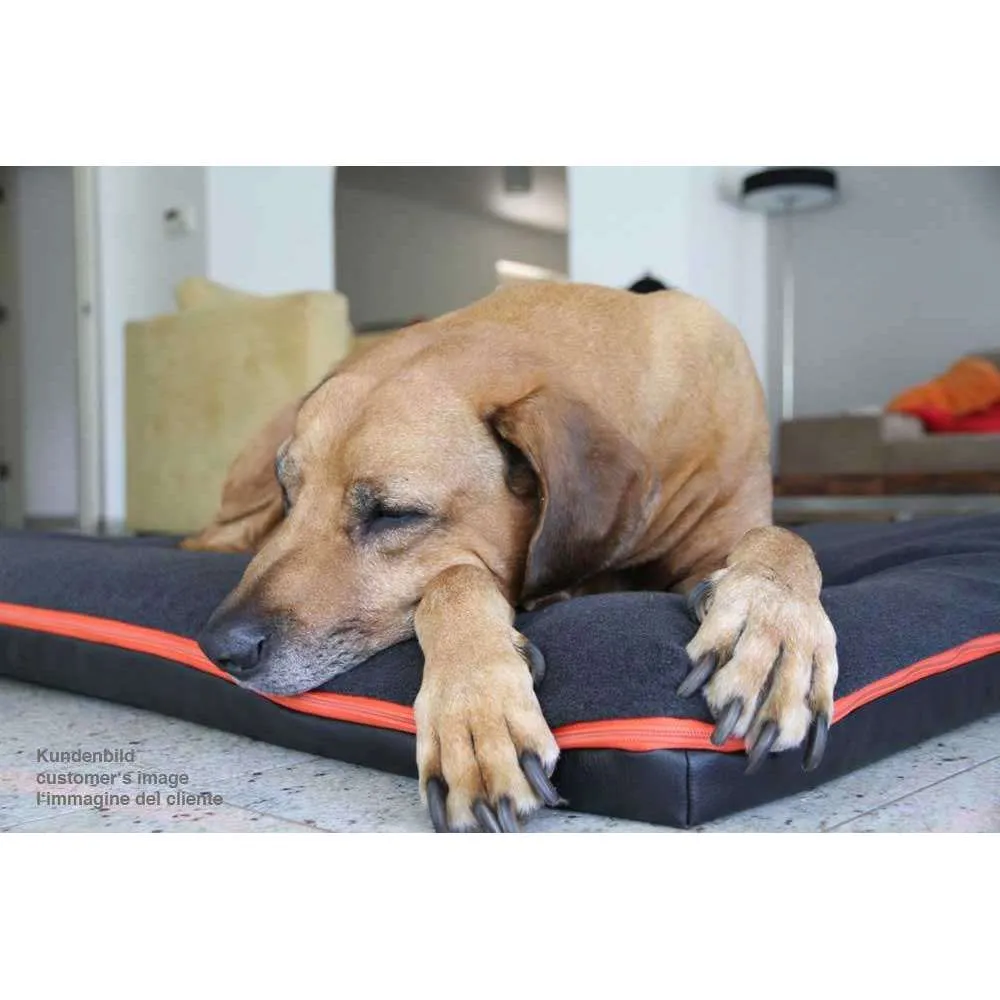 Pet Interiors Orthopedic Dog Mattress  & Blanket PAUL