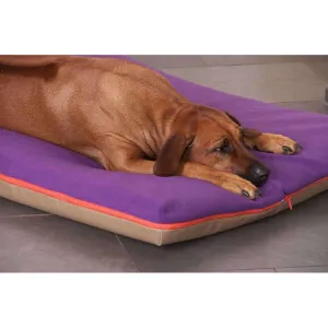 Pet Interiors Orthopedic Dog Mattress  & Blanket PAUL