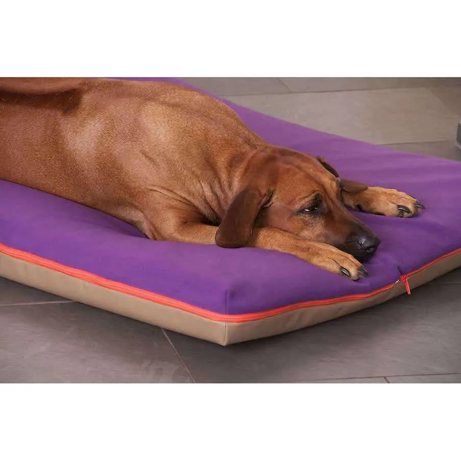 Pet Interiors Orthopedic Dog Mattress  & Blanket PAUL