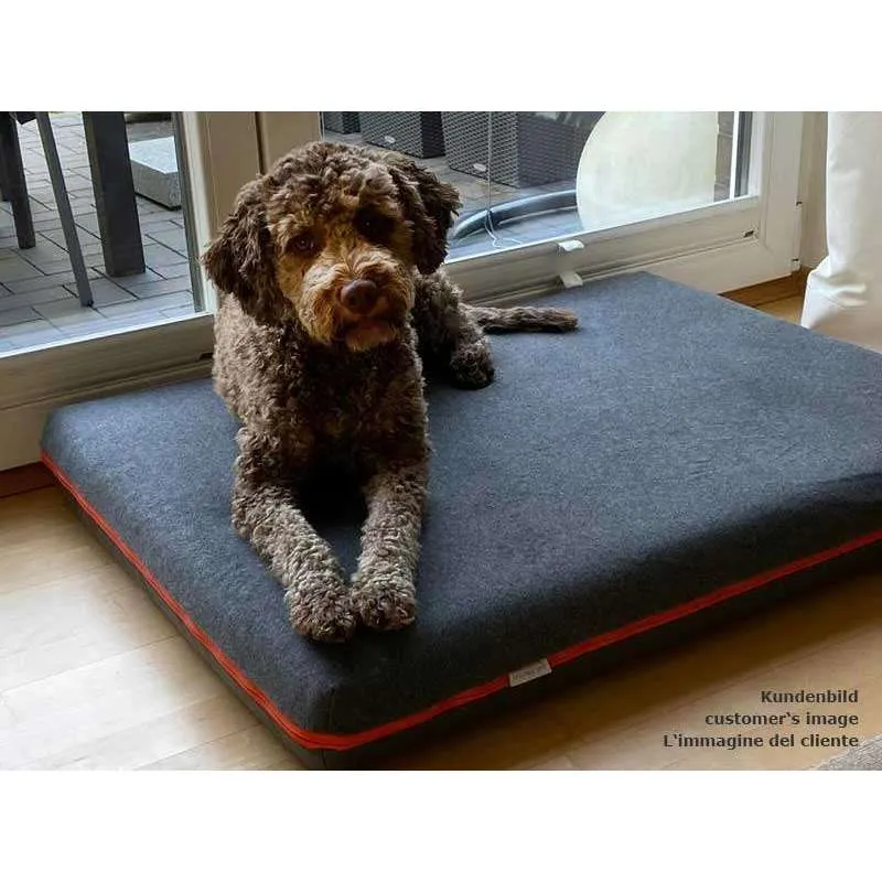 Pet Interiors Orthopedic Dog Mattress  & Blanket PAUL