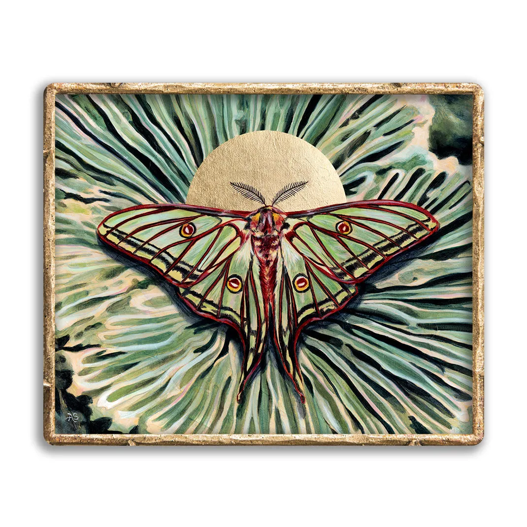 "Relic" Moon Moth Art Print