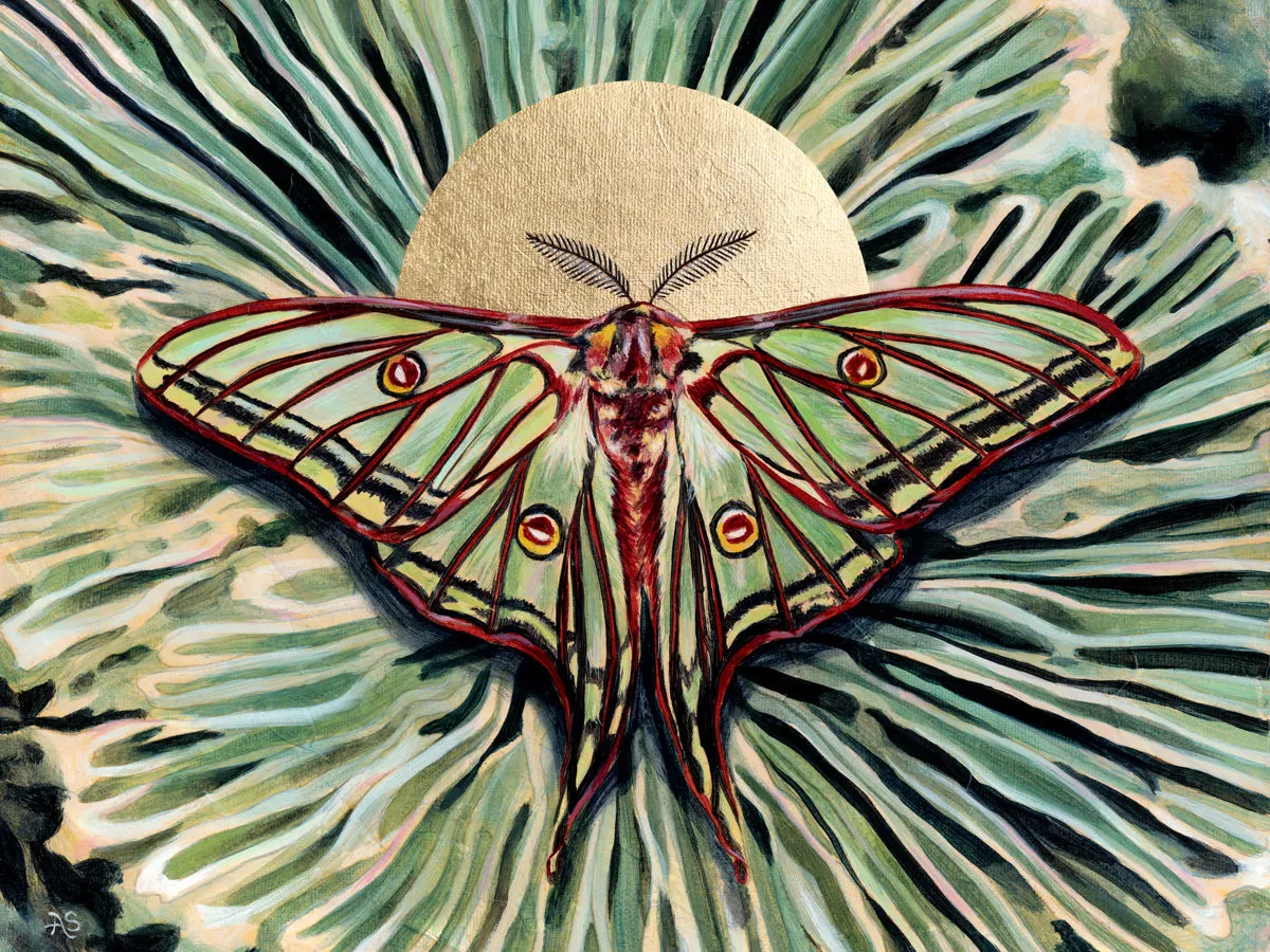"Relic" Moon Moth Art Print
