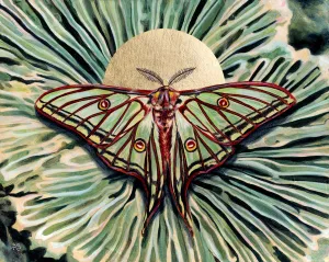 "Relic" Moon Moth Art Print